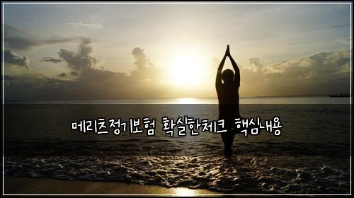 메리츠정기보험 확실한체크  핵심내용