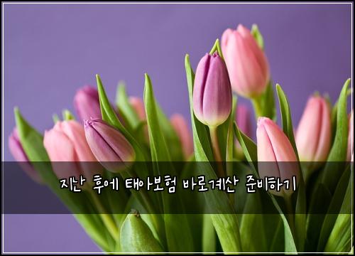 지난 후에 태아보험 바로계산  준비하기