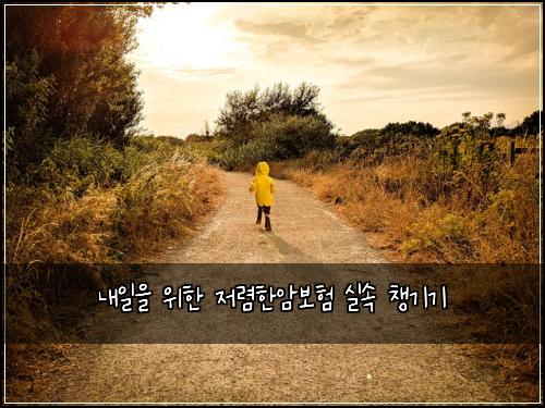 내일을 위한 저렴한암보험 실속 챙기기