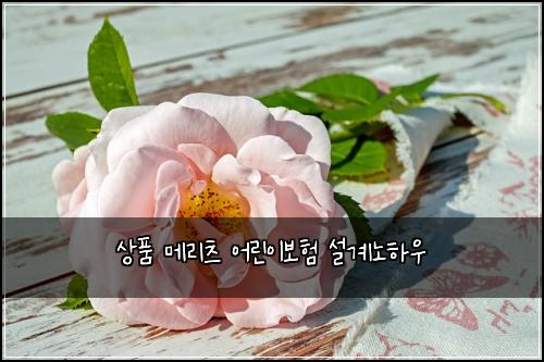 상품 메리츠 어린이보험 설계노하우 