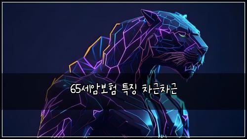 65세암보험 특징  차근차근