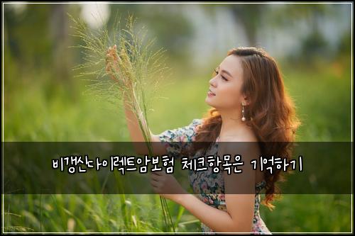 비갱신다이렉트암보험 체크항목은  기억하기