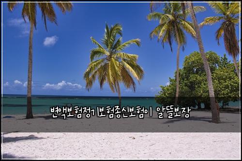 변액보험정기보험종신보험이 알뜰보장