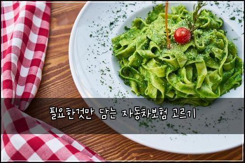 필요한것만 담는 자동차보험 고르기
