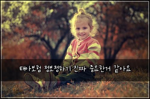 태아보험 정보정하기  진짜 중요한거 같아요