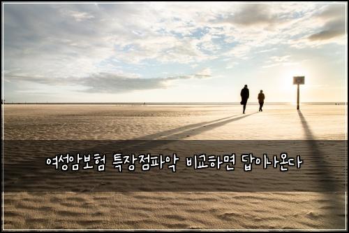 여성암보험 특장점파악  비교하면 답이나온다