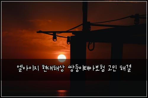 엘아이지 현대해상 쌍둥이태아보험 고민 해결