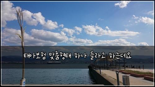 ํ์๋ณดํ ๋ง์ถคํํ ํ๋ ๋ค๋ผ๊ณ ํ๋๋ฐ์