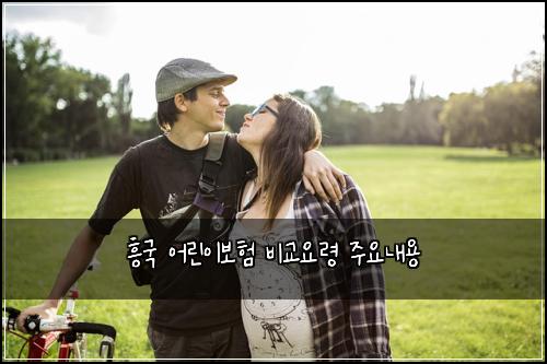 흥국 어린이보험 비교요령  주요내용