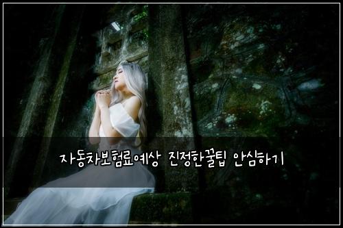 자동차보험료예상 진정한꿀팁 안심하기
