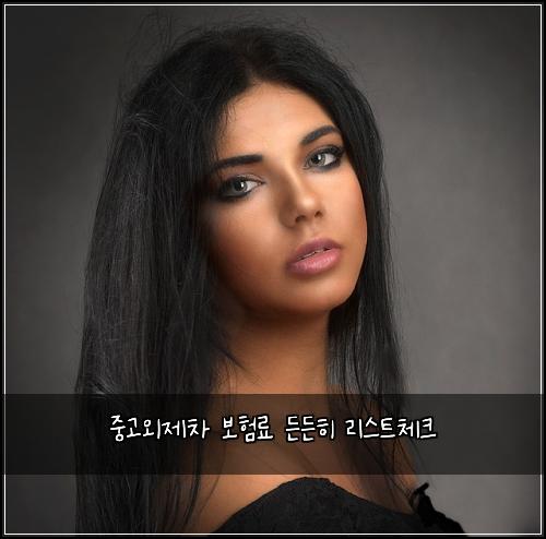 중고외제차 보험료 든든히 리스트체크