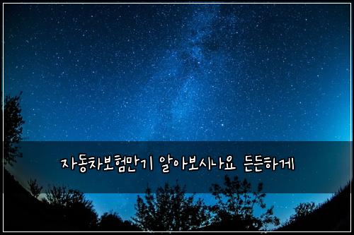 자동차보험만기 알아보시나요 든든하게