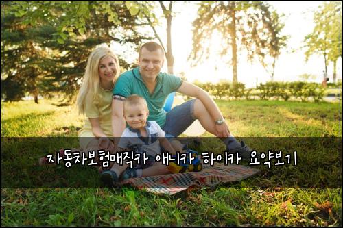 자동차보험매직카 애니카 하이카 요약보기