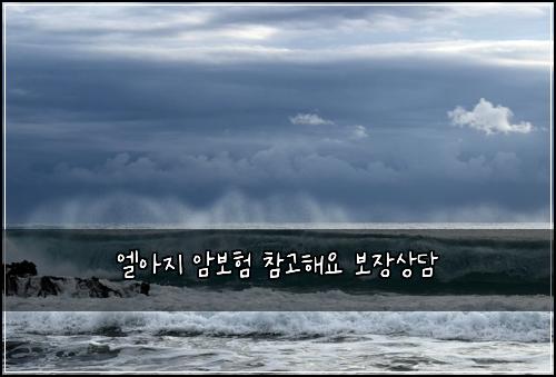 엘아지 암보험 참고해요  보장상담
