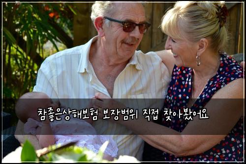 참좋은상해보험 보장범위  직접 찾아봤어요