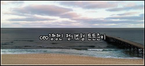 ceo경영인 정기보험 튼튼준비 