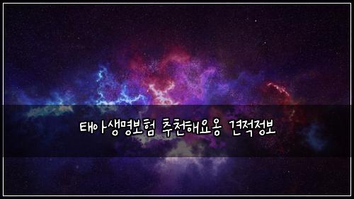 태아생명보험 추천해요옹  견적정보