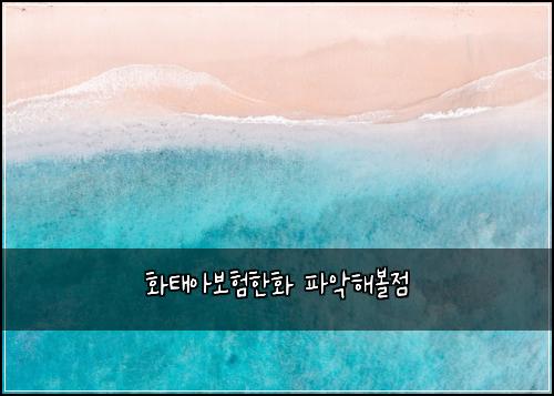 화태아보험한화 파악해볼점