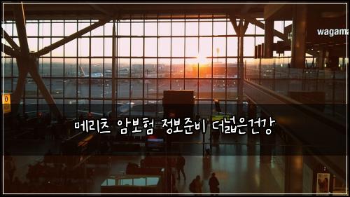 λ©λ¦¬μΈ μ보ν μ 보μ€λΉ λλμ건κ°