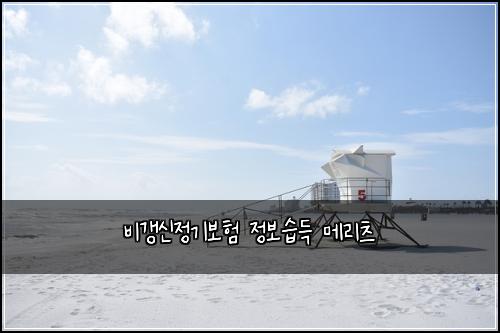 비갱신정기보험 정보습득  메리츠