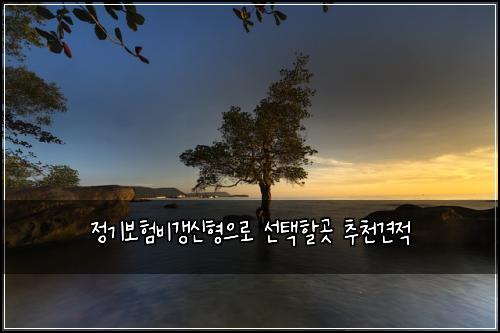 정기보험비갱신형으로 선택할곳 추천견적