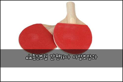 aia종신보험 간편하다  사망보장과