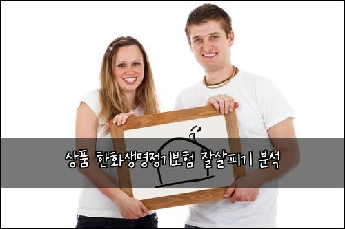 상품 한화생명정기보험 잘살피기  분석