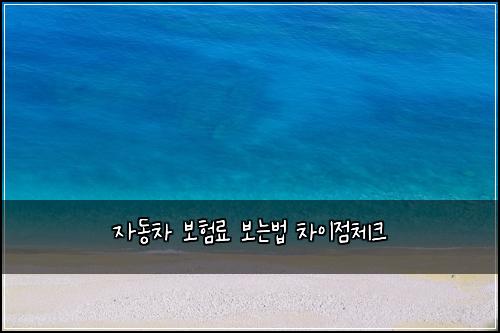 자동차 보험료 보는법 차이점체크