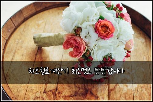 차보험료계산기 최신정보 탄탄합니다