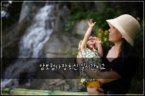 암보험가장최신 실시간비교