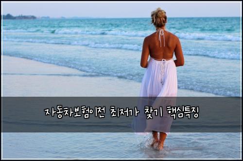 자동차보험이전 최저가 찾기 핵심특징