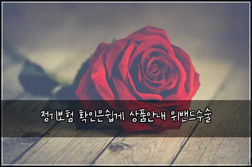 정기보험 확인은쉽게  상품안내 위밴드수술