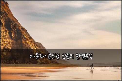 자동차기본보험 신중히  완벽분석