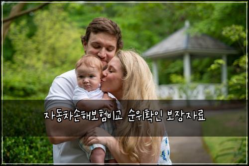 자동차손해보험비교 순위확인 보장자료