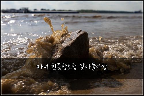 자녀 찬종합보험 알아둘사항 