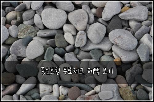 종신보험 무료체크  혜택 보기
