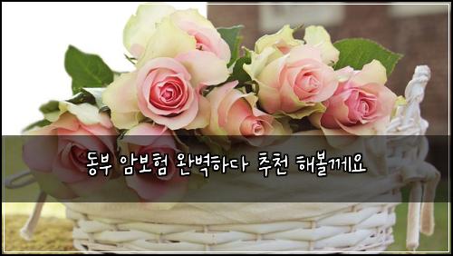 동부 암보험 완벽하다  추천 해볼께요