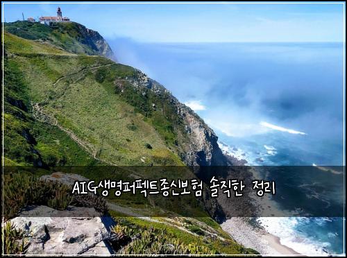 AIG생명퍼펙트종신보험 솔직한 정리
