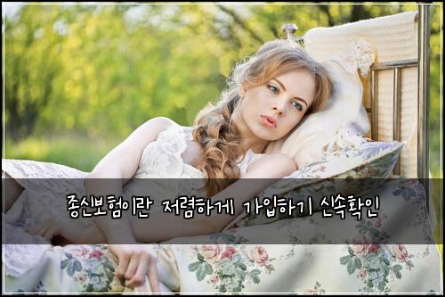 종신보험이란 저렴하게 가입하기 신속확인
