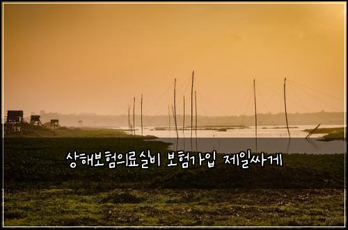 상해보험의료실비 보험가입 제일싸게