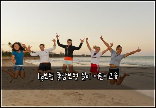 lig보험 풀담보형  실비 어린이교육