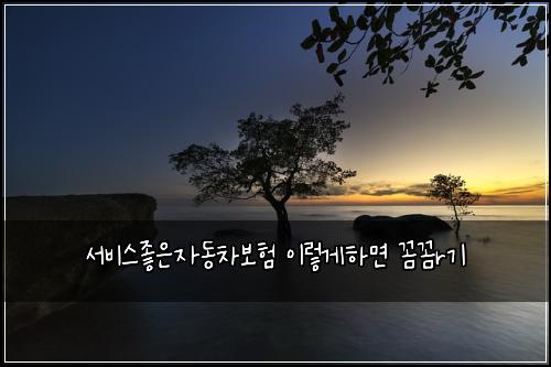 서비스좋은자동차보험 이렇게하면  꼼꼼r기