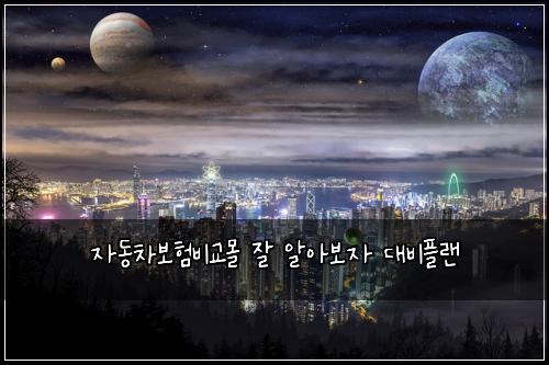 자동차보험비교몰 잘 알아보자 대비플랜