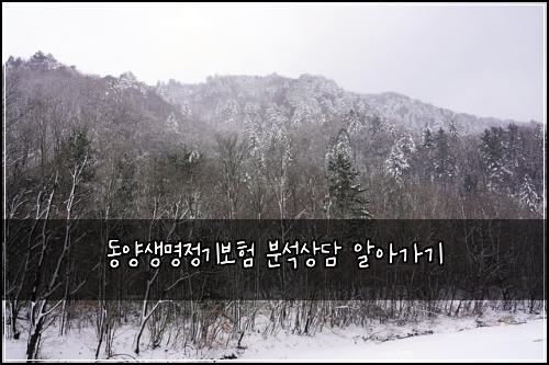 동양생명정기보험 분석상담  알아가기