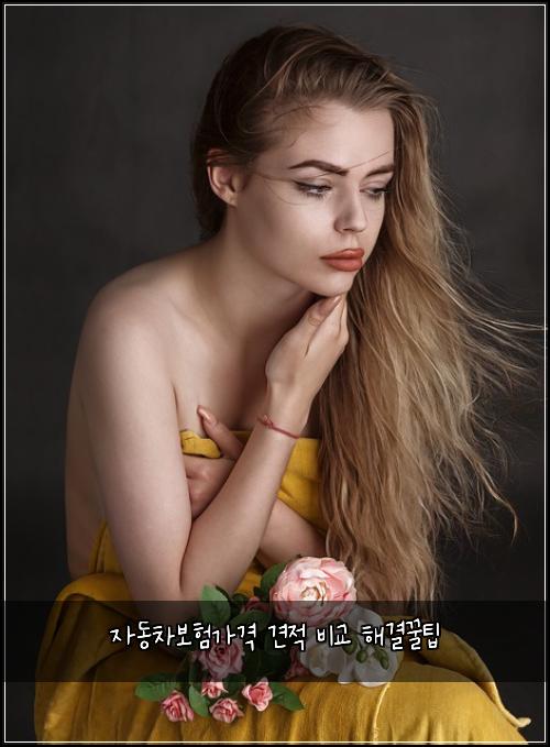자동차보험가격 견적 비교 해결꿀팁