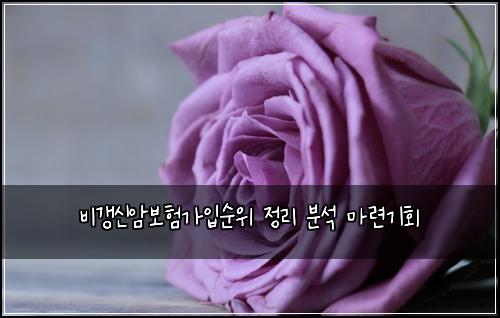 비갱신암보험가입순위 정리 분석 마련기회