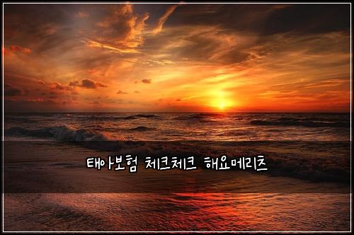 태아보험 체크체크  해요메리츠