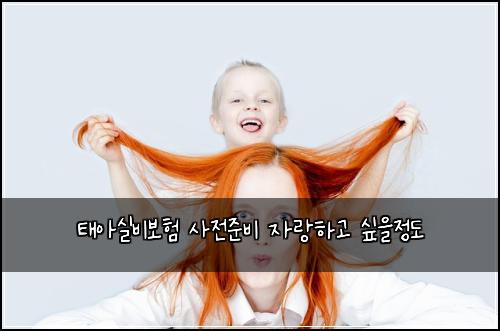 태아실비보험 사전준비  자랑하고 싶을정도