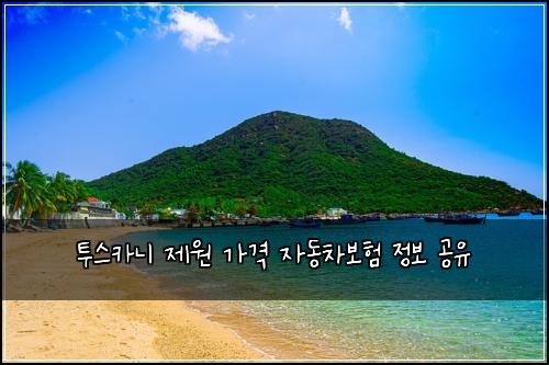투스카니 제원 가격 자동차보험 정보 공유