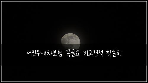 서민우대차보험 꼭필요  비교견적 착실히
